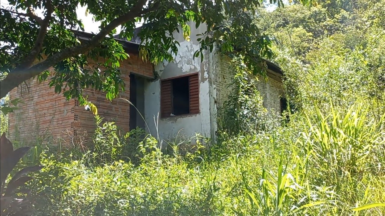 abandonaram essa casa em uma mata fechada