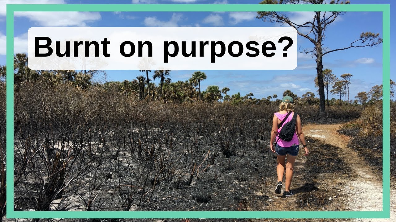 Adventures with Science: Exploring Merritt Island!