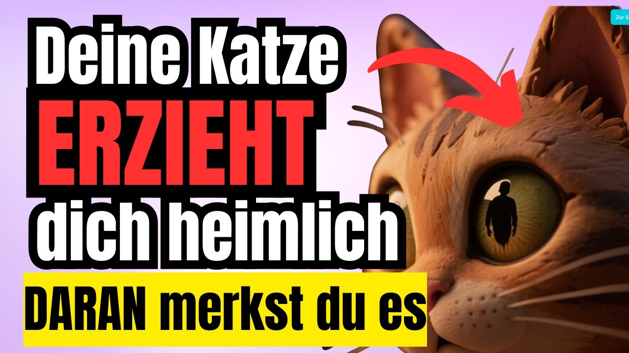 10 Dinge, die du tust und die deine Katze heimlich studiert, um dich zu erziehen