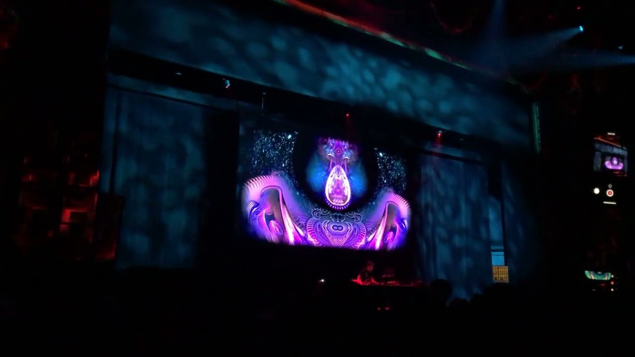 Tipper - Vection @ Tippsgiving Kings Theatre