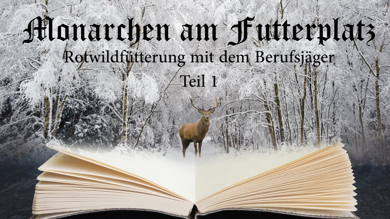Monarchen am Futterplatz- Rotwildfütterung mit dem Berufsjäger Teil1