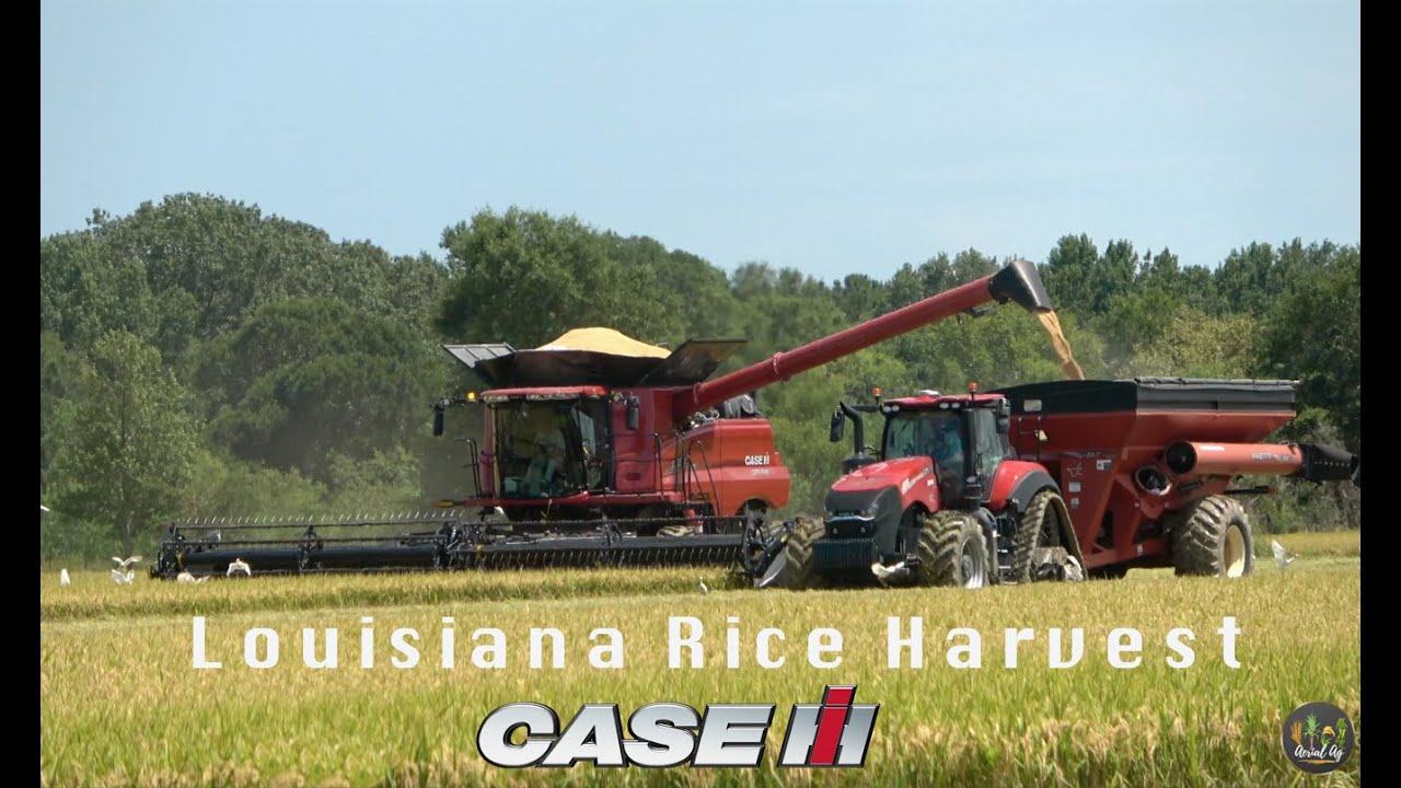 Louisiana Rice Harvest Using Case IH Equipment