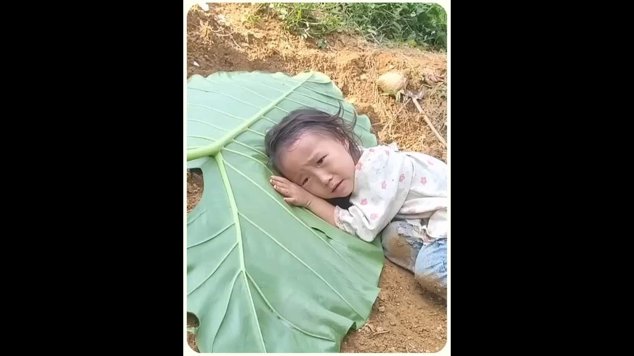 小月思念父亲在坟前哭晕了，阿姨还在远方一无所知 #越南生活 #农村生活 #记录真实生活 #记录农村生活 #纪录片