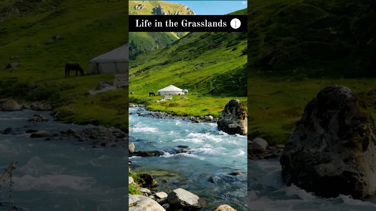 Life in a Yurt: Xinjiang Nomadic Traditions