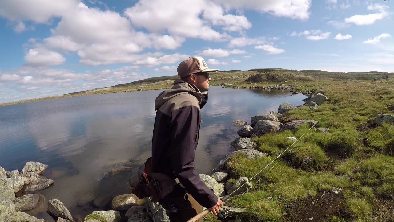 Hardangervidda 2018