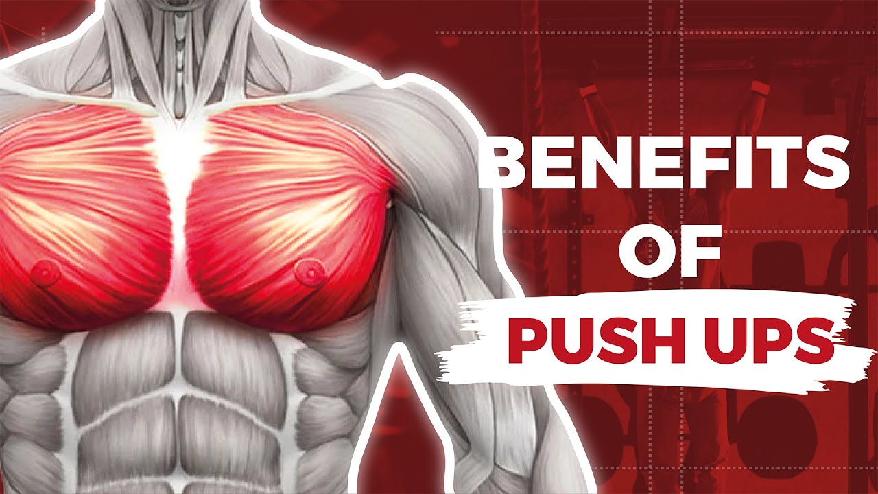 5 ПРЕИМУЩЕСТВ ежедневных отжиманий! #здоровье #фитнес #отжимания