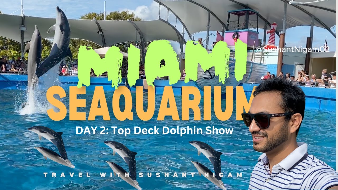 Miami Sea Aquarium Top Deck Dolphin Show #dolphin #dolphins #miami #usa #america #miamidolphins #yt