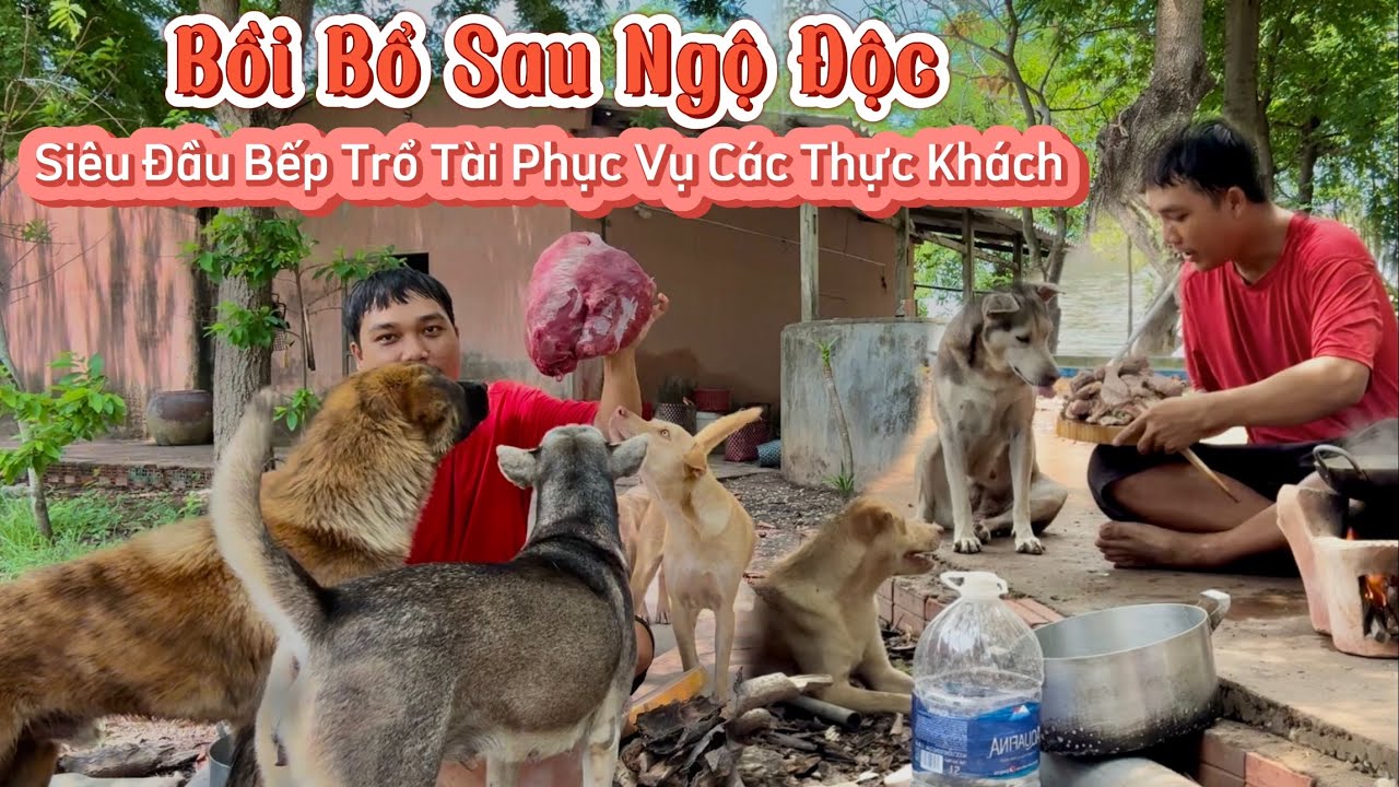 Bồi Bổ Hoành Tráng Sau Ngộ Độc - Sen Làm Siêu Đầu Bếp Phục Vụ Các Thực Khách Khó Tính