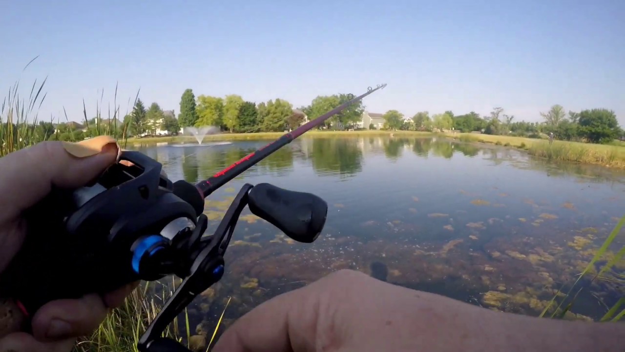 Father's Day Fishing
