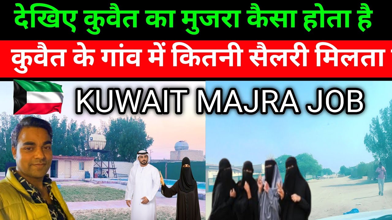 देखिए कुवैत में मजरा कैसा होता है || Kuwait majra job || Kuwait jobs || 