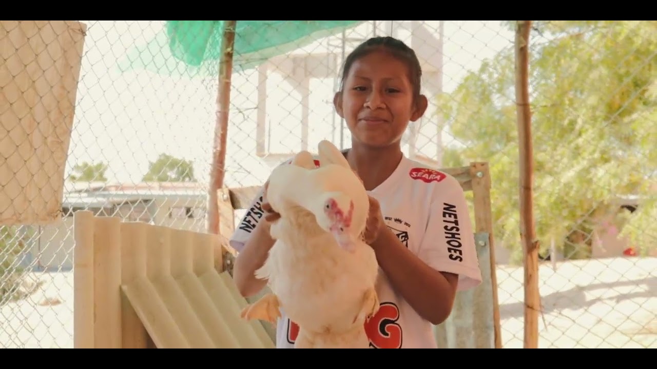 Proyecto educativo con ONG SOLIVIDA