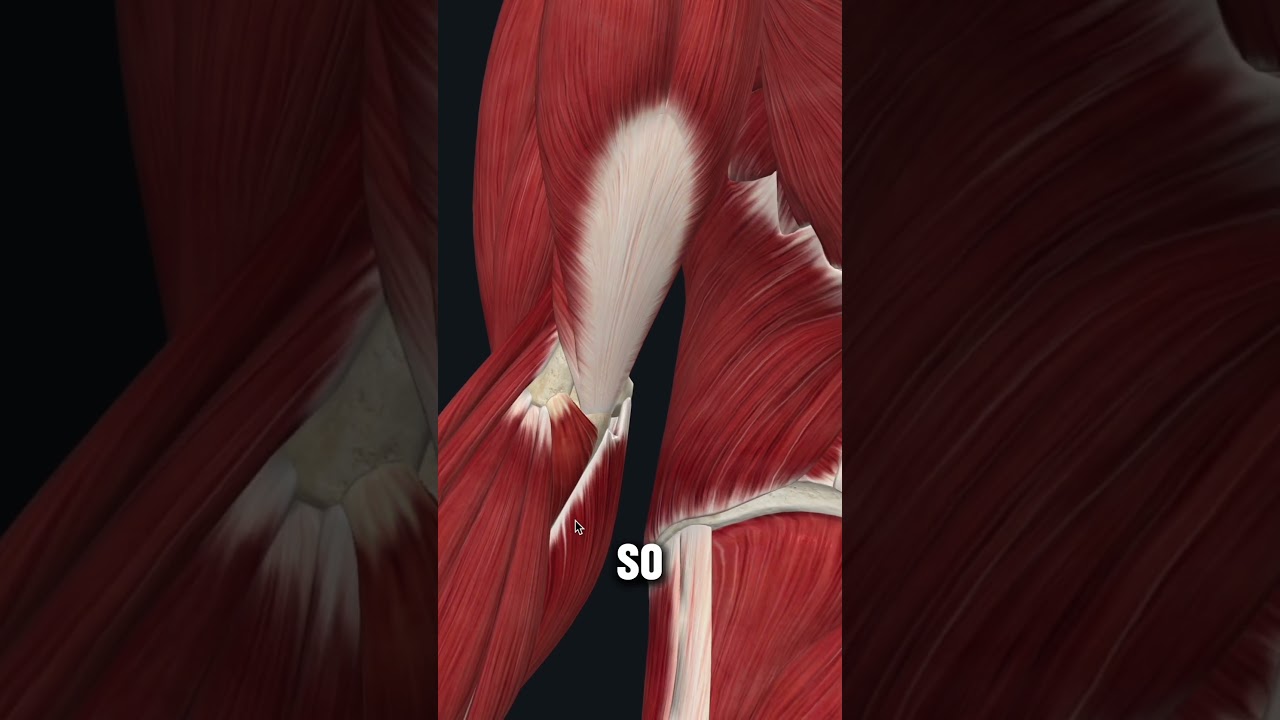 Pain behind the elbow? Watch this video to learn how to fix it! #elbowpain #physiotherapy