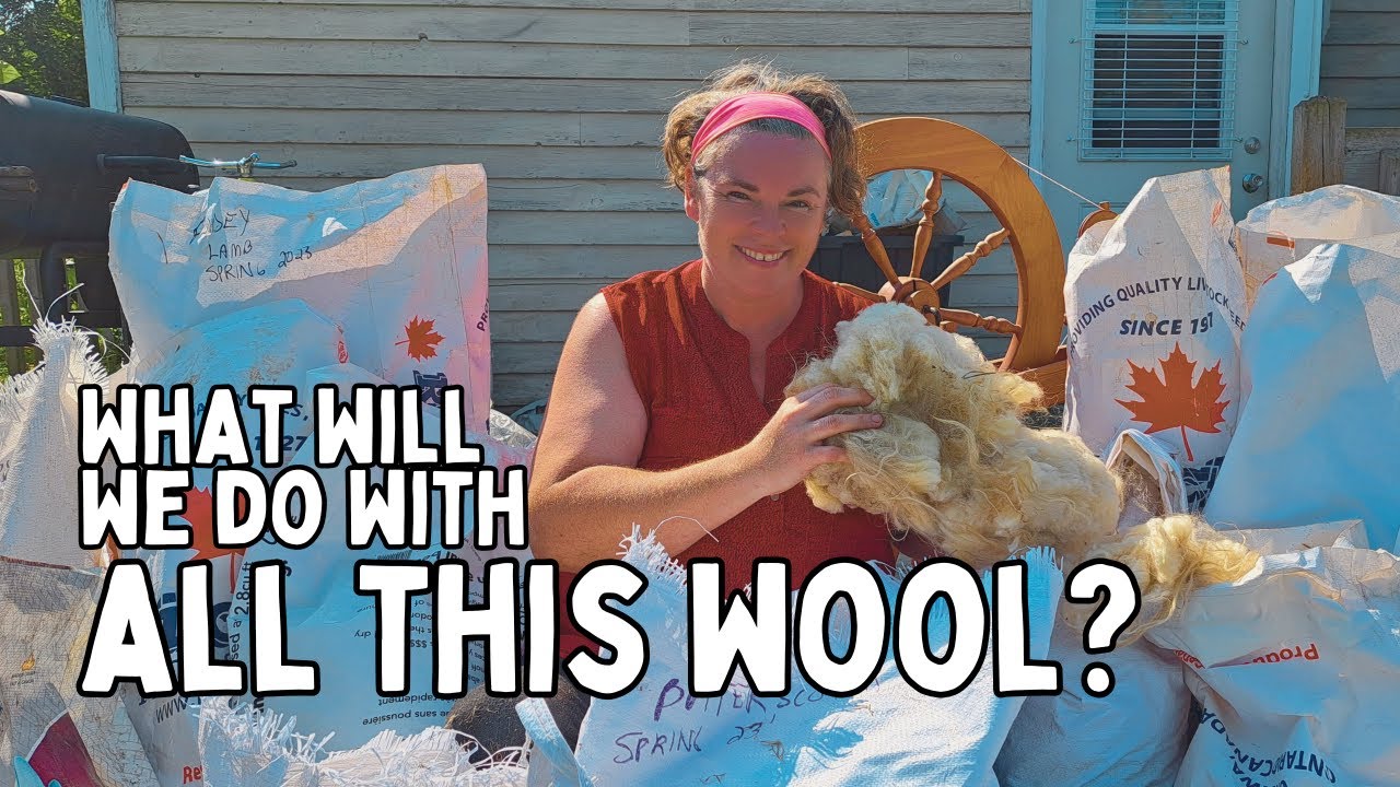 SWING PICKER TEST: Transforming Raw Icelandic Wool to Fluffy Yarn (Full Process)
