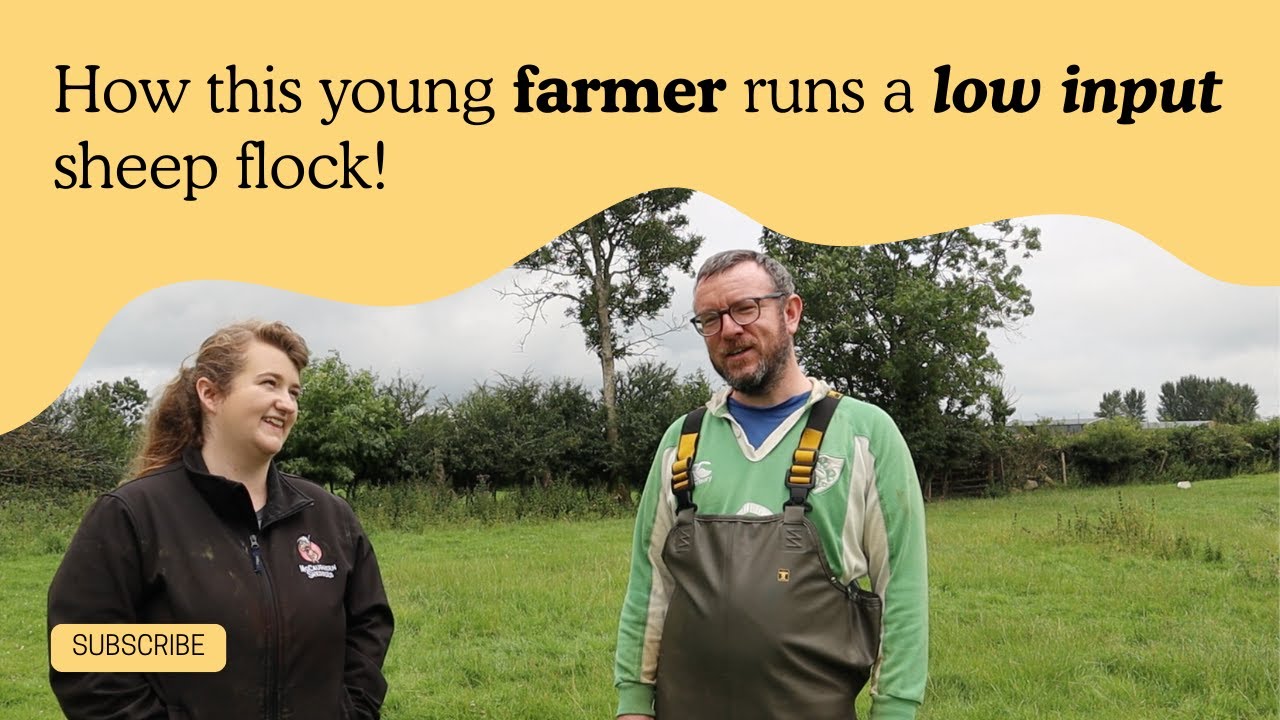 Young female farmer doing a great job with low input EasyCare sheep