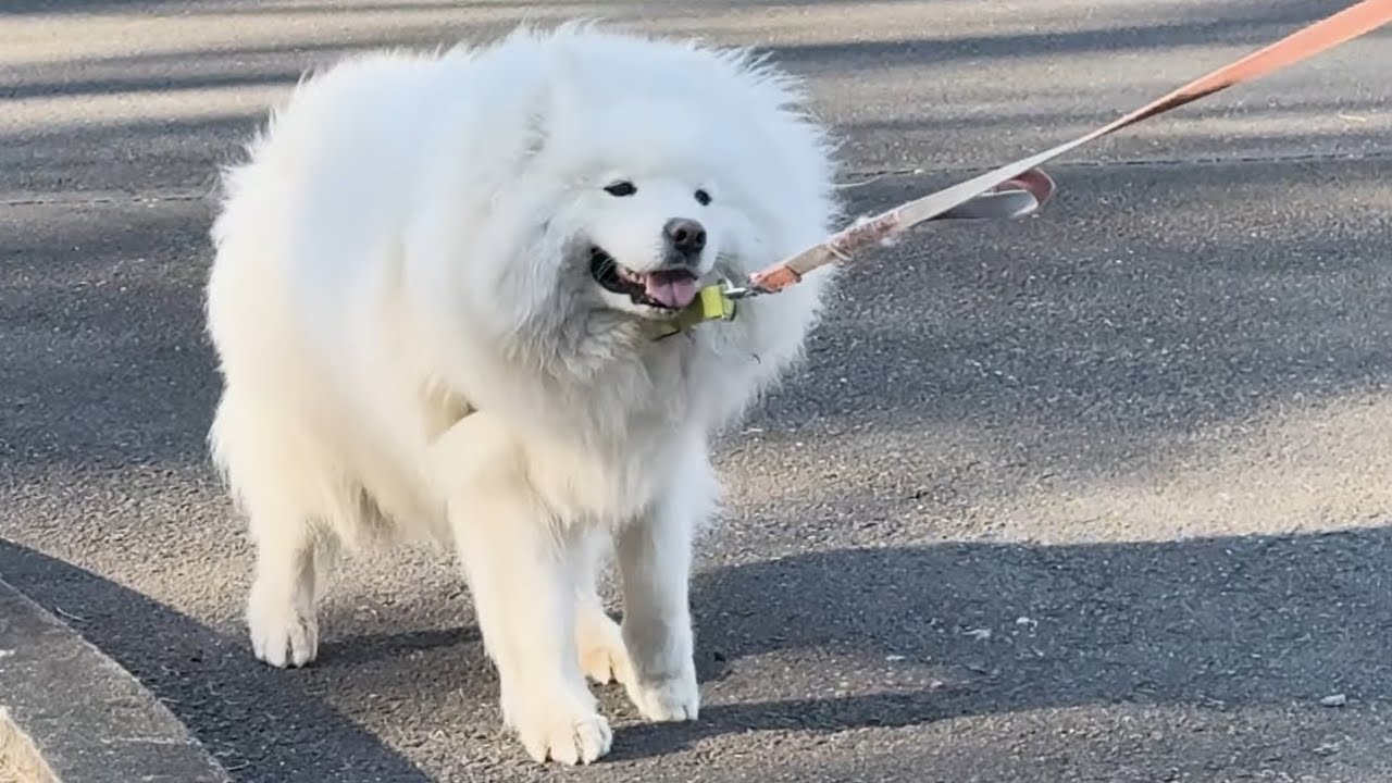 楽しすぎて帰りたくない姿がかわいすぎました