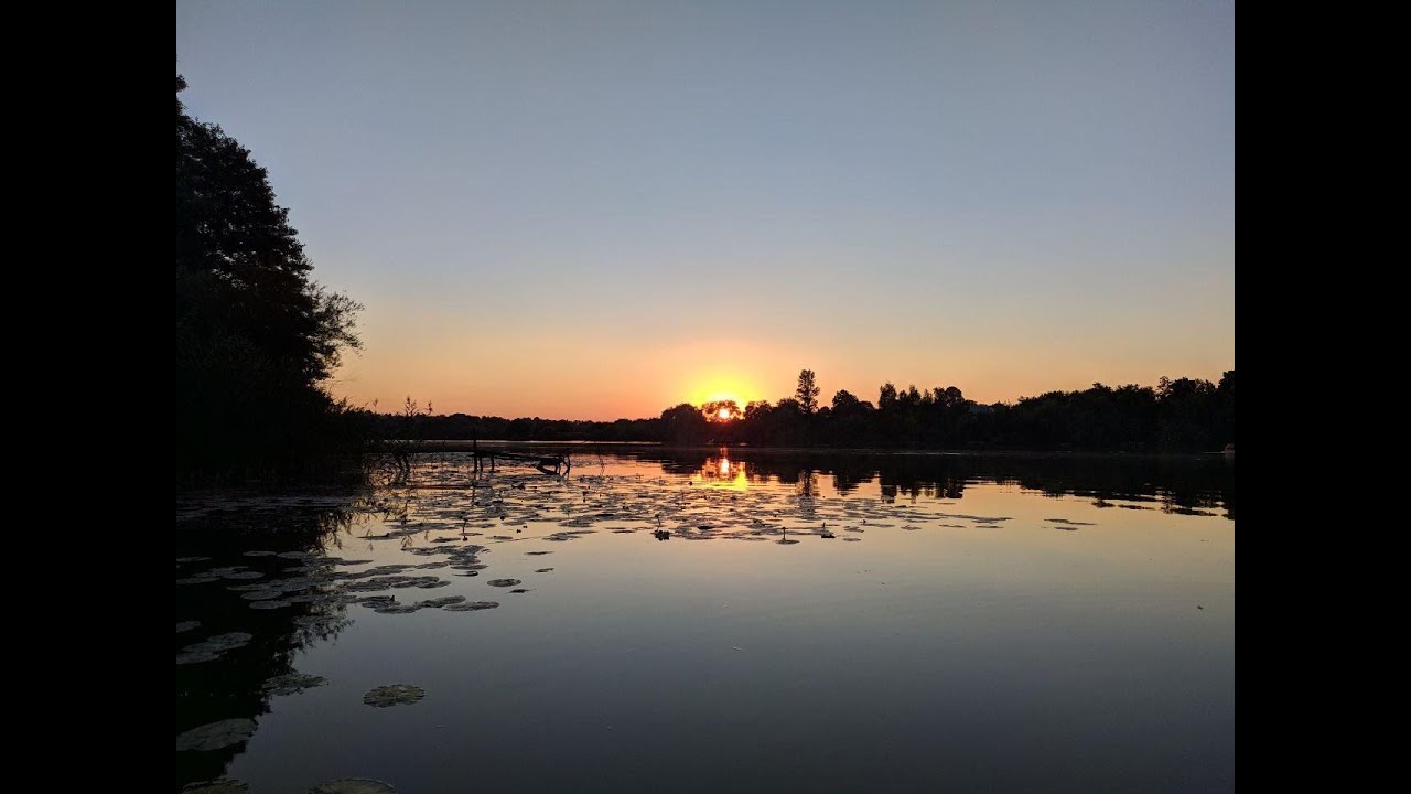 Прогулка в Браилове