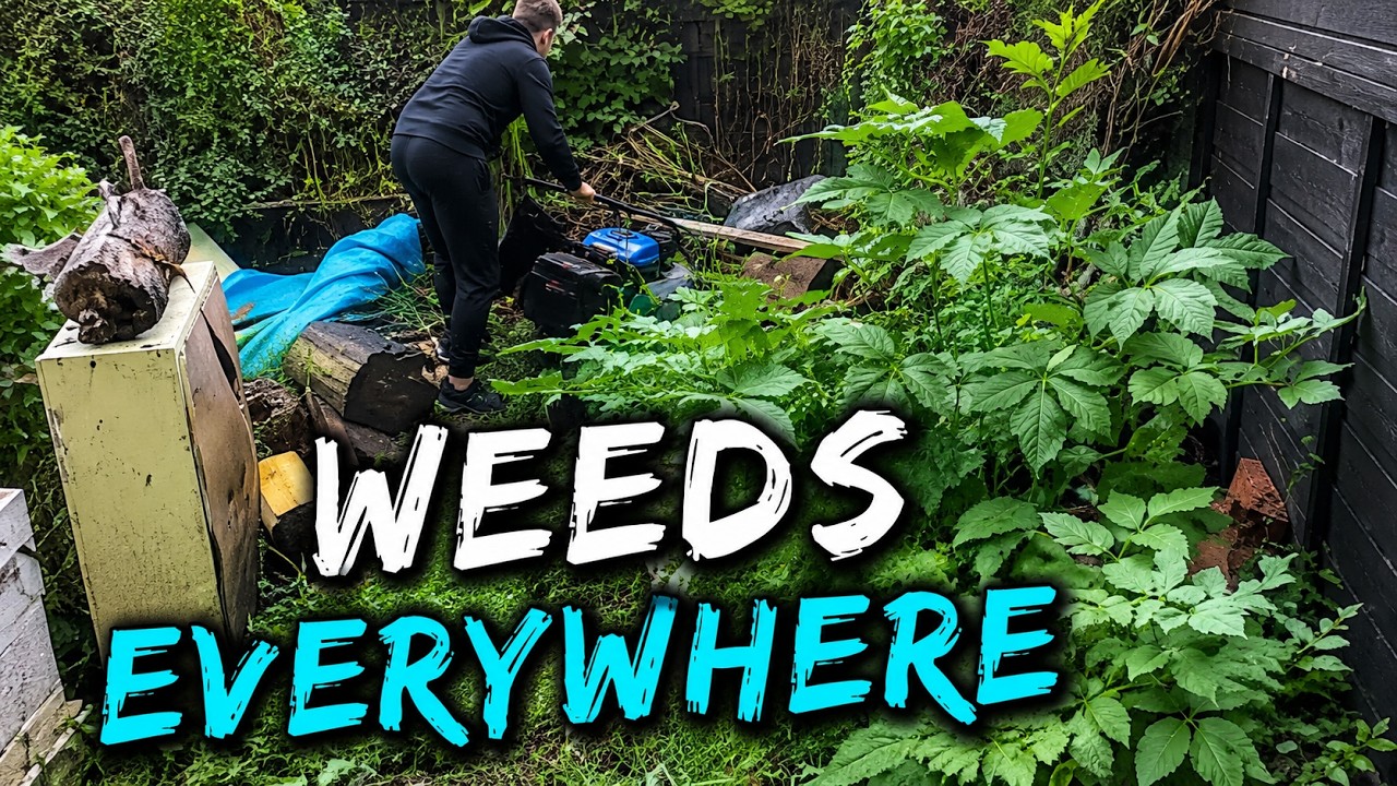 She had a Small Yard, with a HUGE Weed Infestation! | Ep.2 The Lawn Lift Project