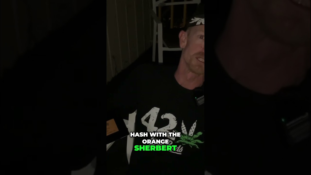 Dab-A-Doo winner Chubbs  about hush, bubble hash