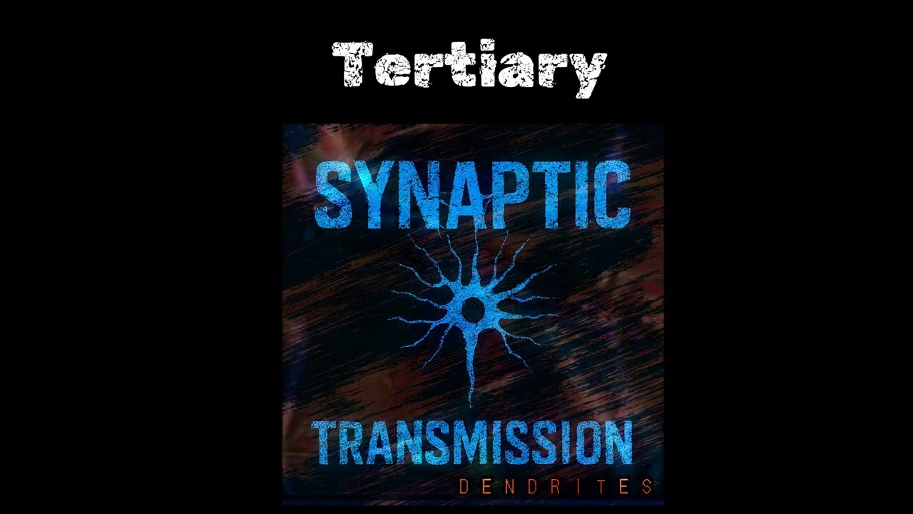 Synaptic Transmission - Tertiary