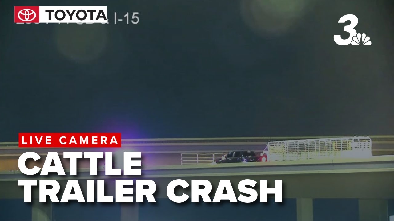 Cattle crash: Rollover blocks Las Vegas freeway ramp