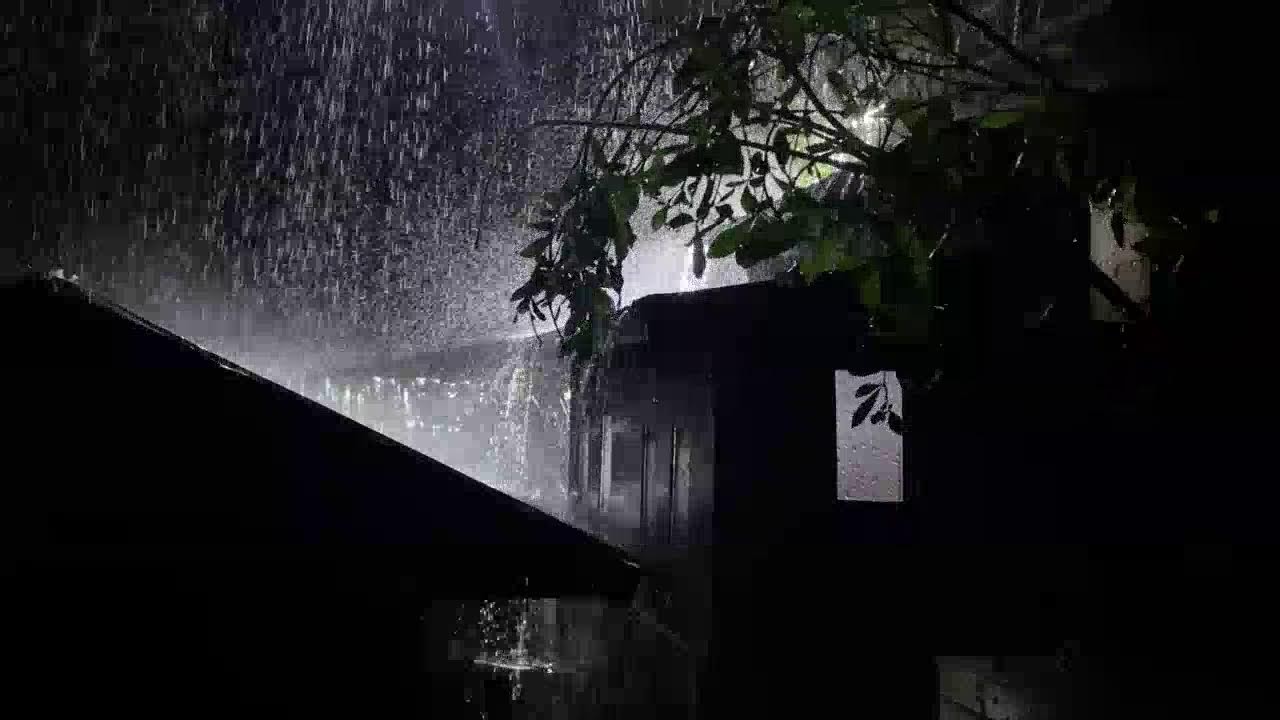 Calming Rain Sounds on Tin Roof for Stress Relief