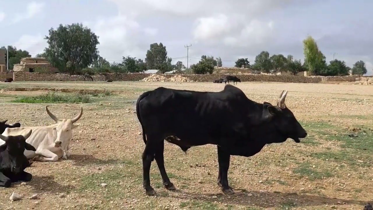 ዝኽኣልኩሙዎ ውሰዱ