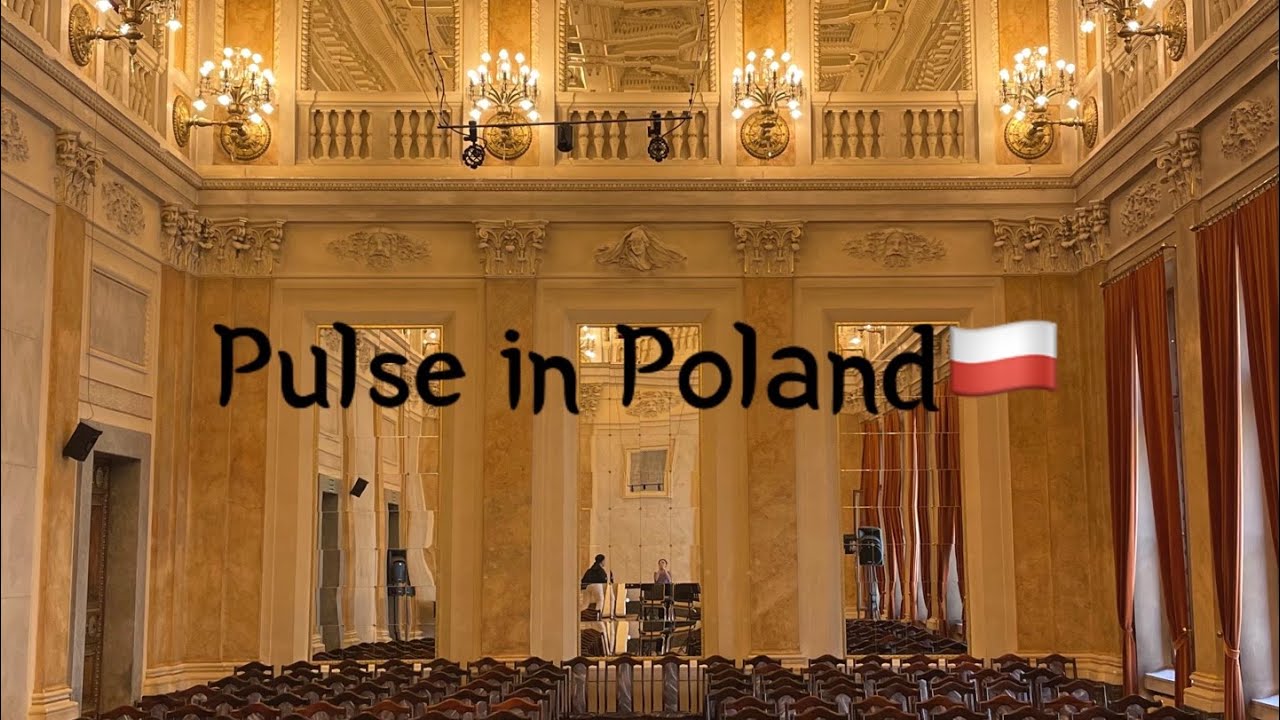 Pulsować - Pulse in Poland 해금협주 초연