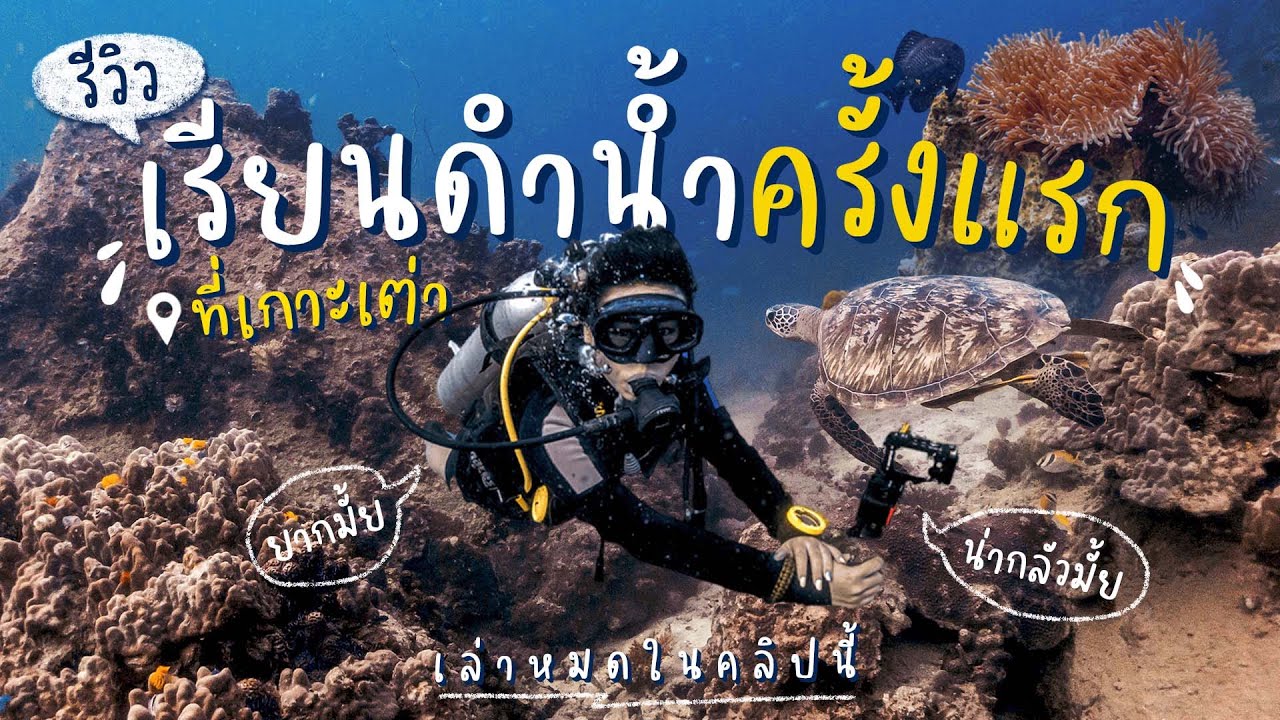 รีวิว เรียนดำน้ำครั้งแรกที่เกาะเต่า แบบละเอียดยิบ ดูจบรู้เลยว่าควรไปเรียนจริงไหม | EarnEve
