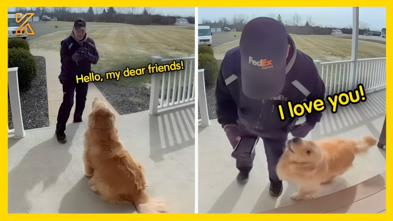 🐕🧑When Delivery Drivers Becomes Friends with Fur Babies💖