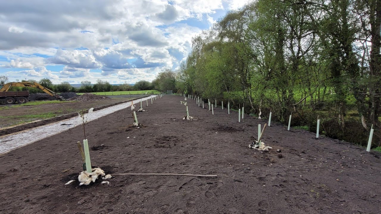 Laying out a mini-orchard at Tullymeadows Community Garden