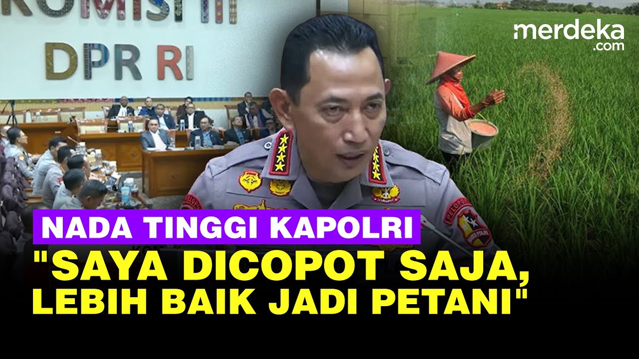 Kapolri Tegas Pertaruhkan Jabatan Depan DPR: Saya Dicopot Saja, Lebih Baik Jadi Petani