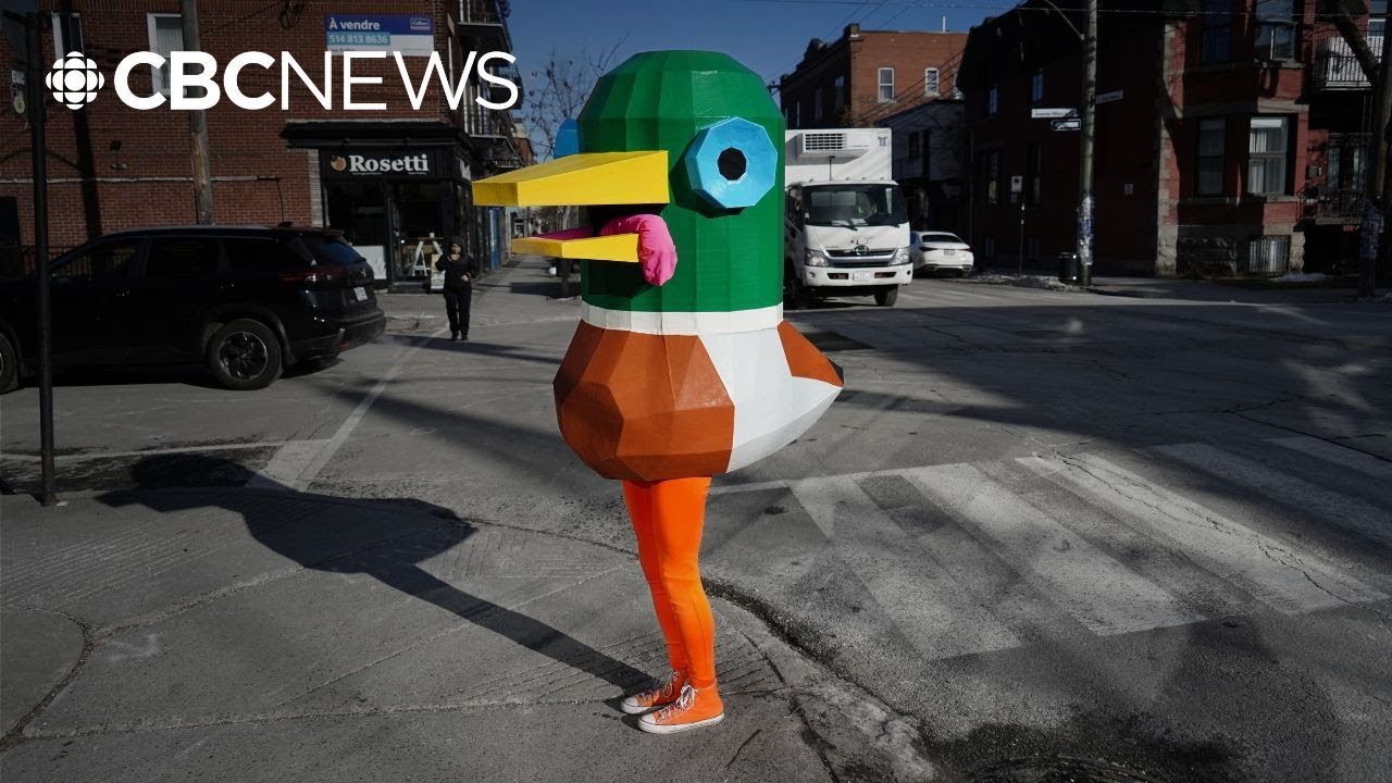 Why this 6-foot-tall duck is wandering Montreal's streets