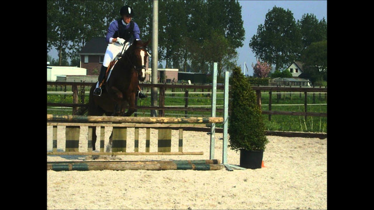 stal het kabel
