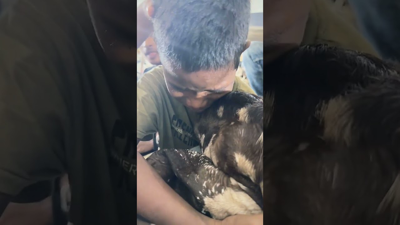 lo agyi qurbani। qurbani krunga mai to qurbani karunga। bakra mandi little boy emotional video