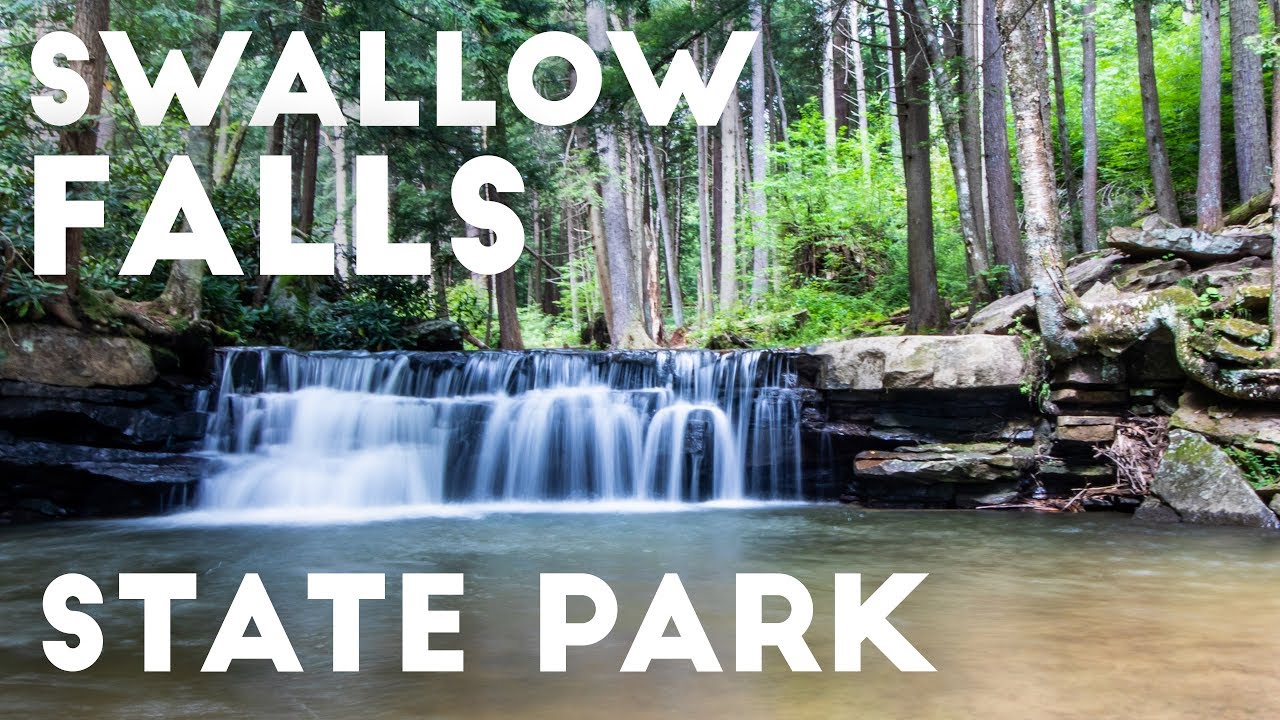 Hiking through Swallow Falls State Park