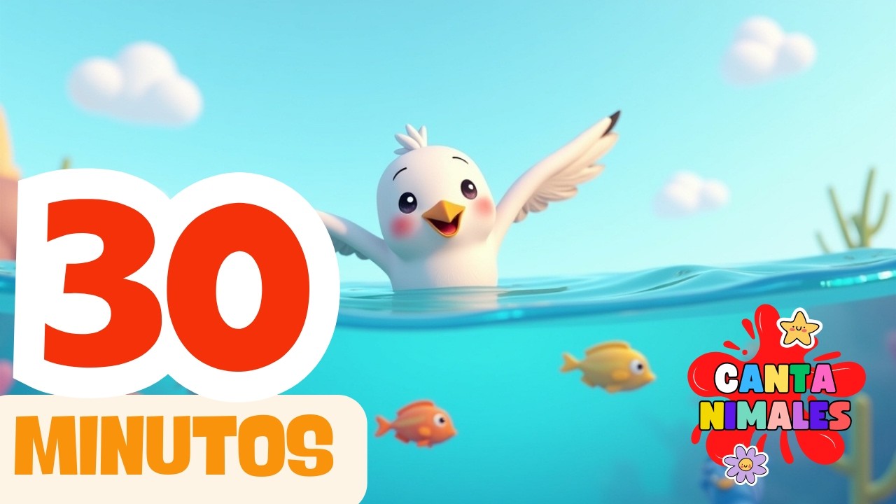 🌟 Música infantil: Gaby la gaviota y su vuelo mágico 🕊️🌊
