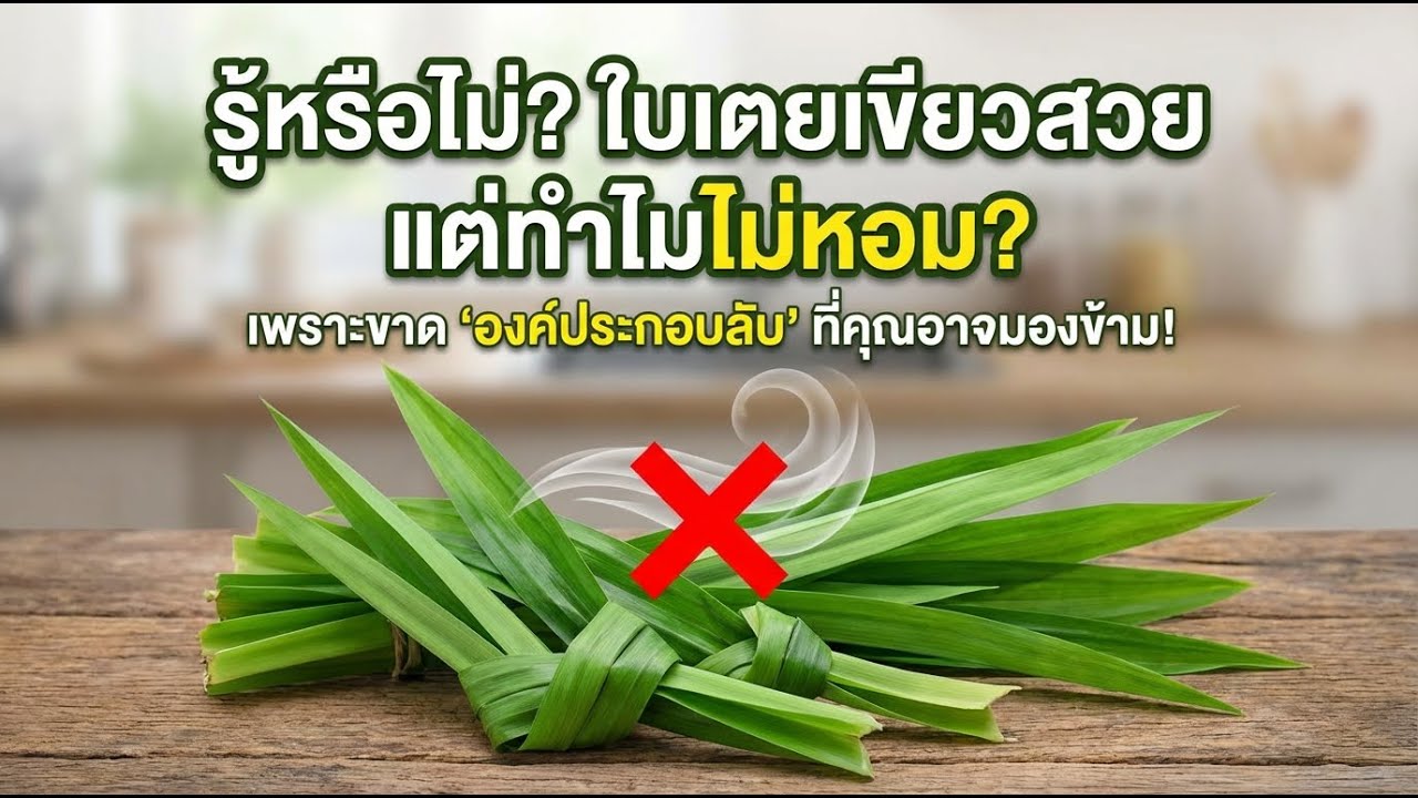 ใบเตยเขียวสวยแต่ไม่หอม? เคล็ดลับเติมสารอาหารให้หอมขึ้นใน 3 ขั้นตอน