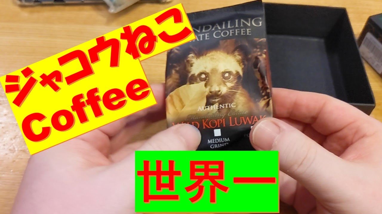 ジャコウネコcoffee　コピ・ルワク　世界一高価な珈琲　Civet cat coffee kopi luwak world's most expensive coffee
