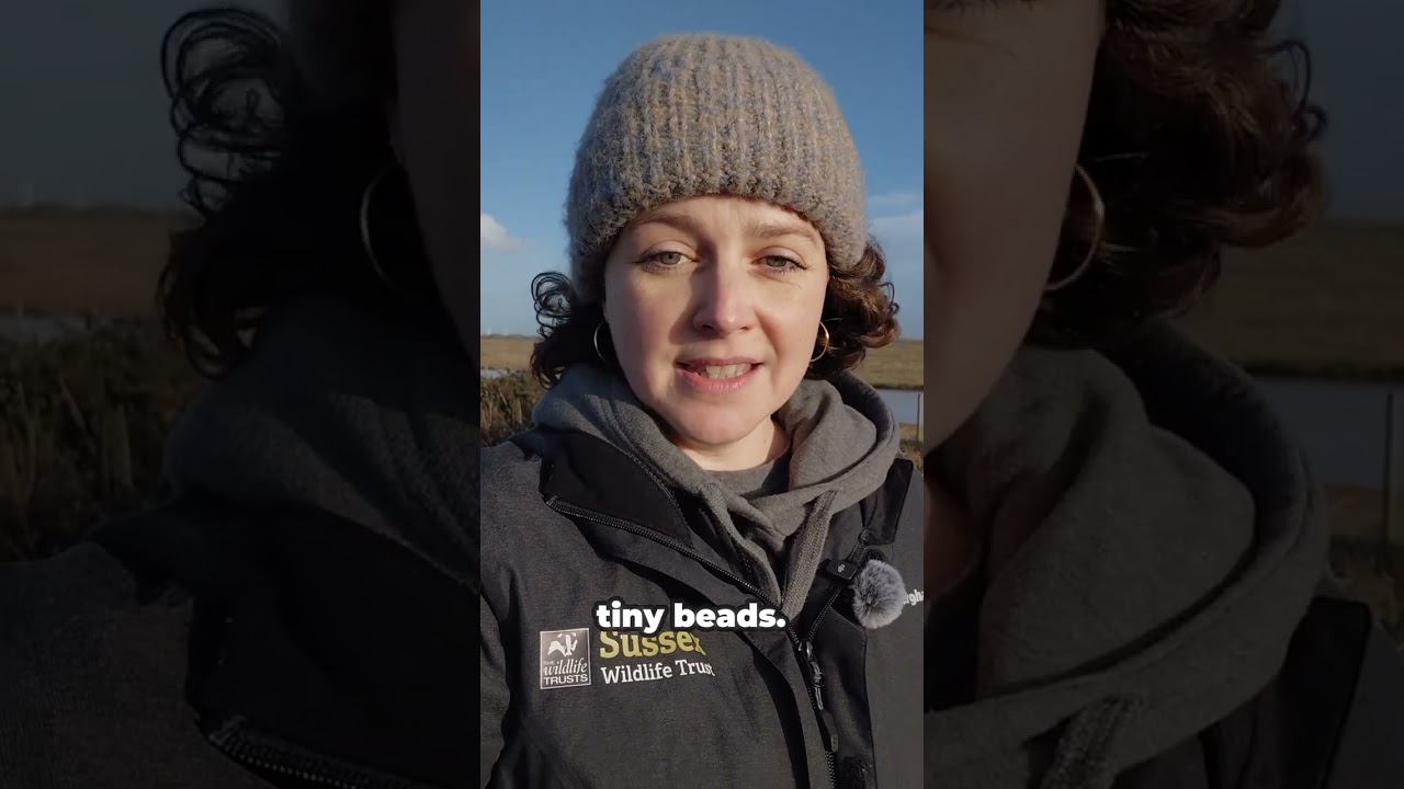 Bin The Beads - sign the petition today