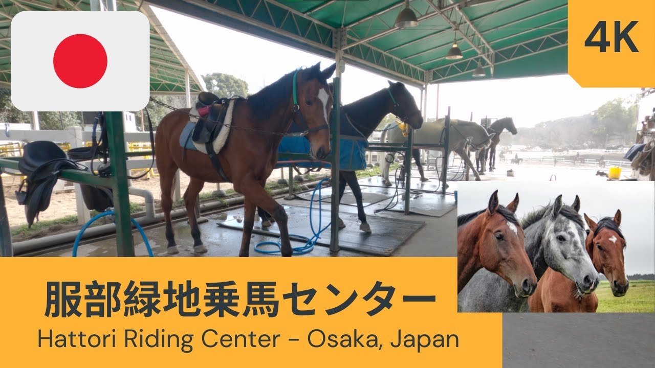 服部緑地乗馬センター Hattori Riding Center - Osaka, Japan