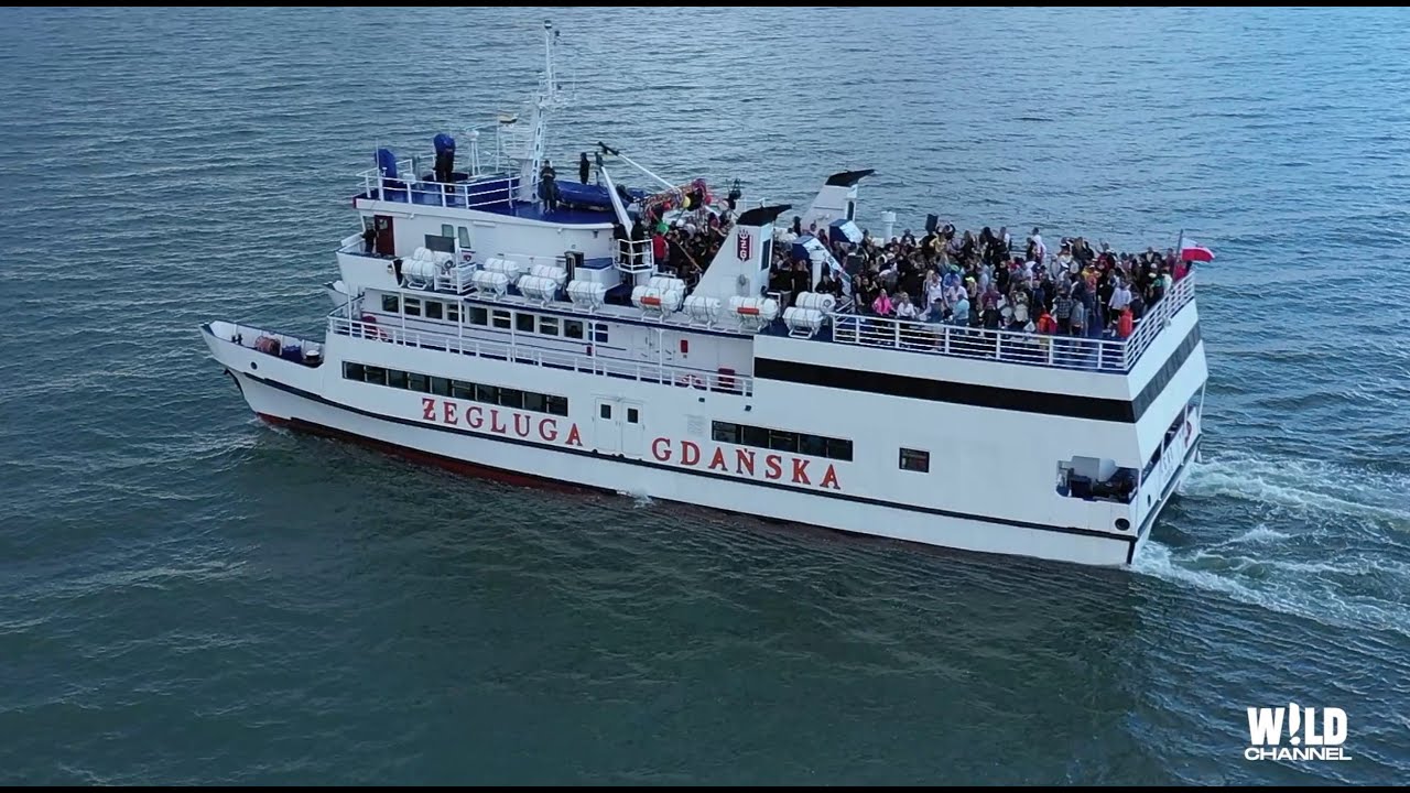 Glasse @ Big Boat Party - 10.07.2022 - Gdynia