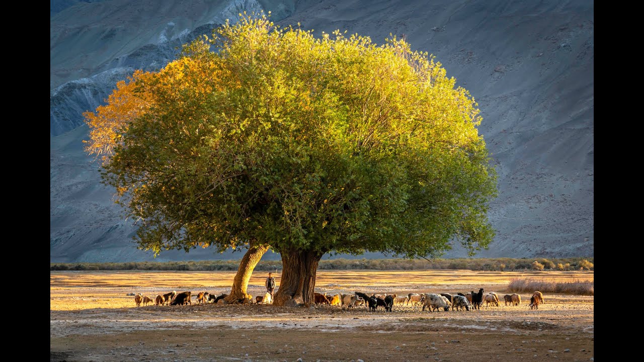 Walkhan Corridor, Afghanistan 2019