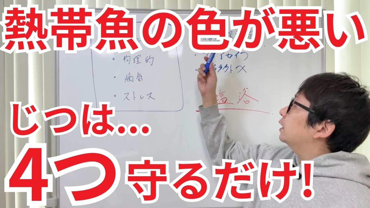 【すぐできる!!】熱帯魚の肌は、これだけでキラキラに変身します
