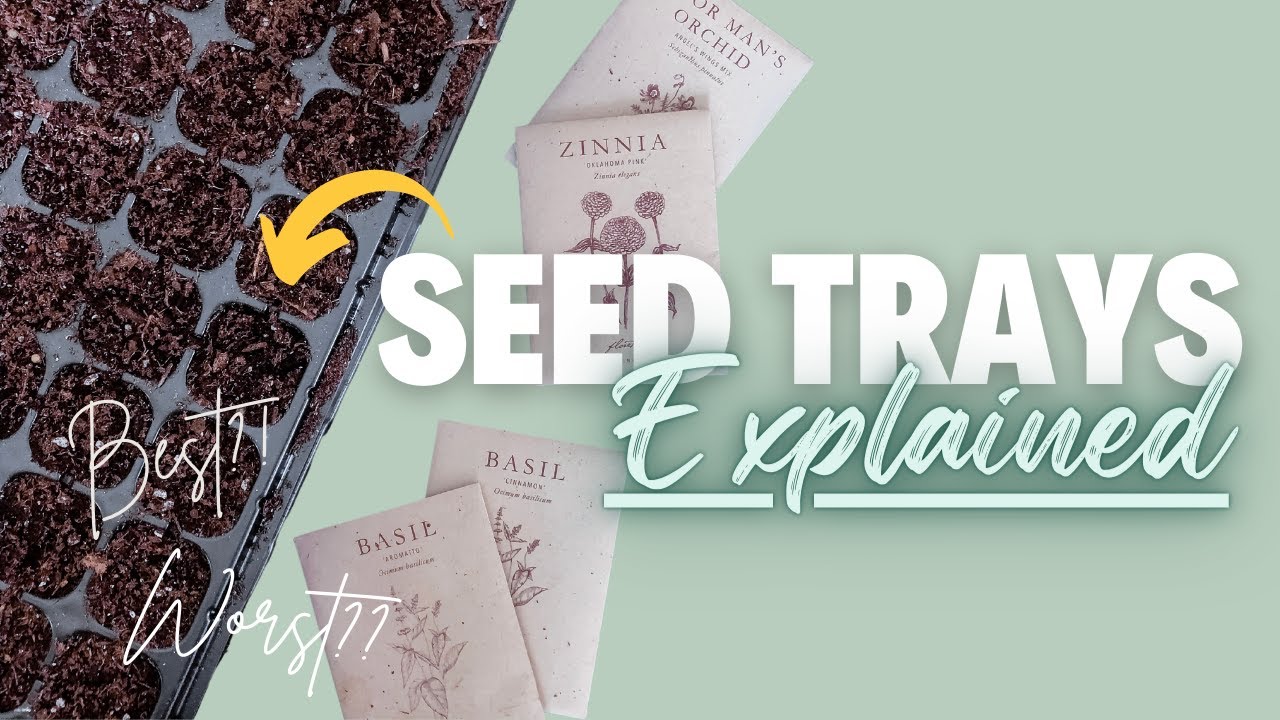 Are You Using the Right Seed Starting Trays for Your Flowers?!