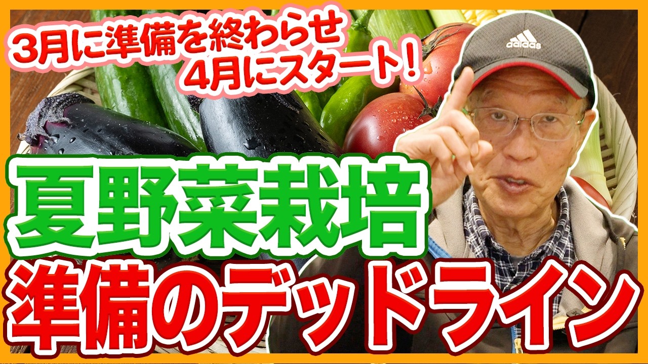 家庭菜園や農園の夏野菜栽培は3月が準備のデッドライン！4月栽培スタートの理由と夏野菜の育て方！【農家直伝】