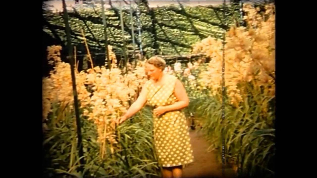 Ilha da Madeira - 1967