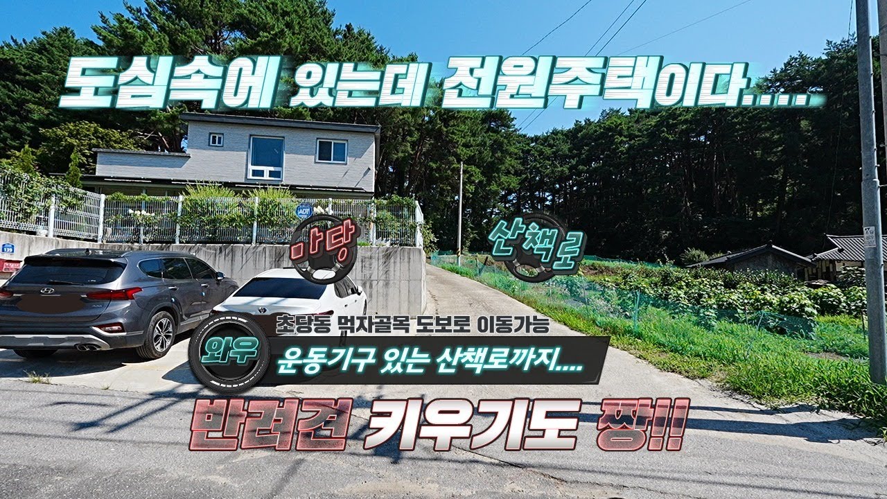 도심속에 있는데 전원주택이다....반려견 키우기도 짱!! #강릉부동산 #박소장 #강릉단독주택매매