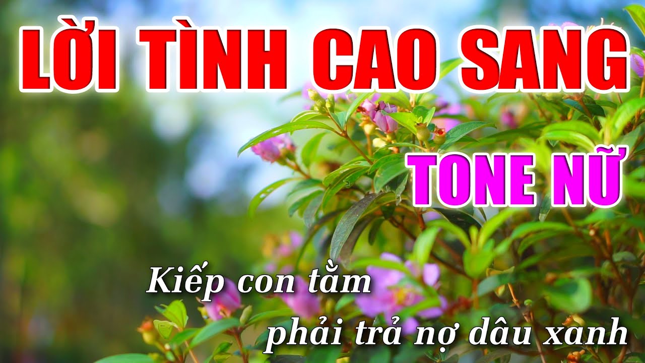 Lời Tình Cao Sang Karaoke -Tone Nữ - Nhạc Sống 1990