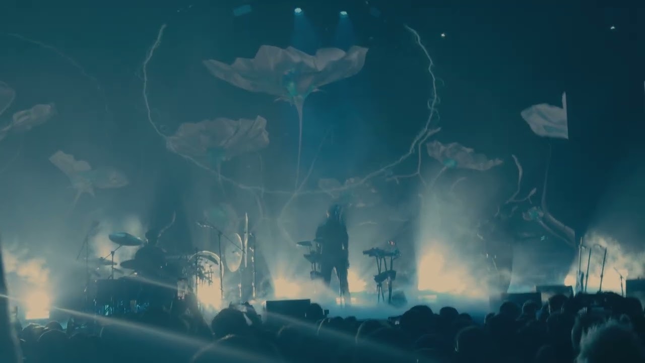 Дельфин, Москва, Atmosphere 01.12.2024