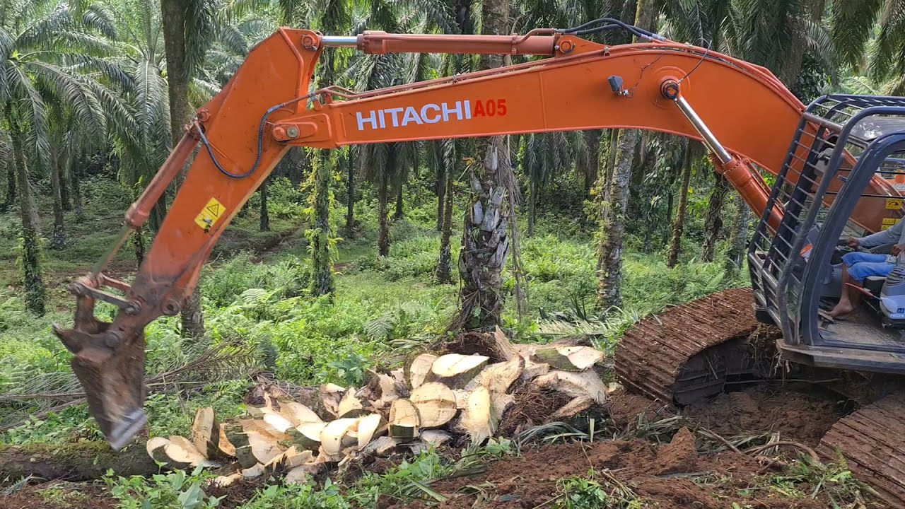 Excavator Hitachi Chipping Tipis-tipis dan Buat Teras Tanam Sawit